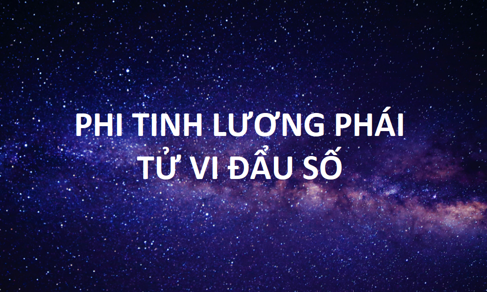 GIỚI THIỆU VỀ PHI TINH LƯƠNG PHÁI